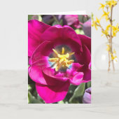 Foto van een bloem uit New England Lege wenskaart Kaart (Gele Bloem)