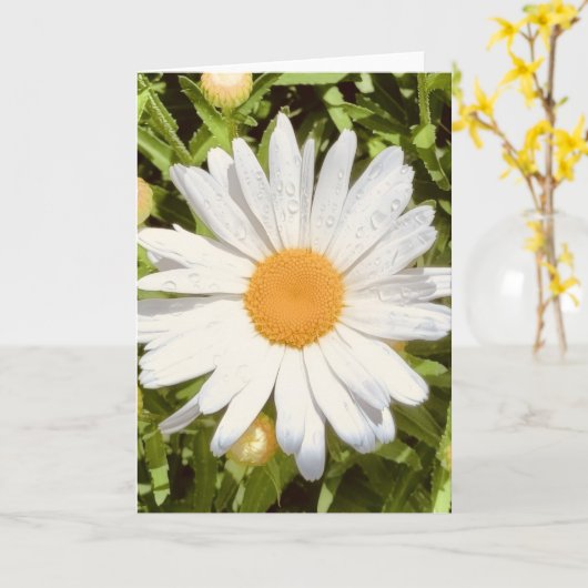 Foto van een bloem uit New England Lege wenskaart Kaart (Gele Bloem)