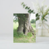 Foto van een boom briefkaart (Staand voorkant)