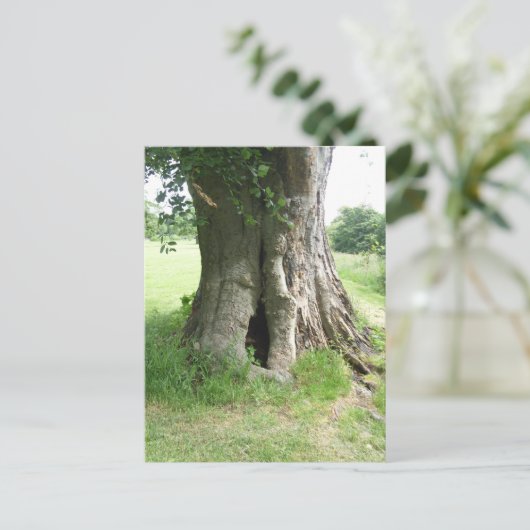 Foto van een boom briefkaart (Staand voorkant)