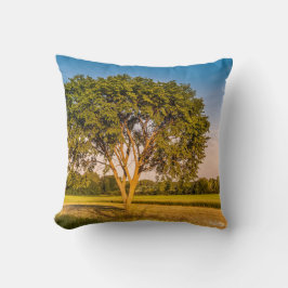 foto van een boom in velden kussen