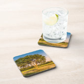 foto van een boom in velden onderzetter (Rechterzijde)