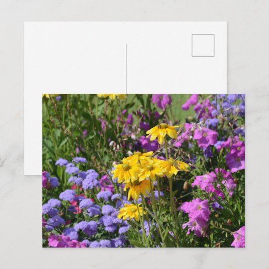 Foto van een bos prachtige gekleurde bloemen briefkaart (Voorkant / Achterkant)