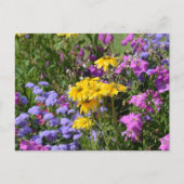 Foto van een bos prachtige gekleurde bloemen briefkaart (Voorkant)