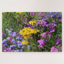 Foto van een bos prachtige gekleurde bloemen