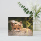 Foto van een Cute Little Fox Briefkaart (Staand voorkant)