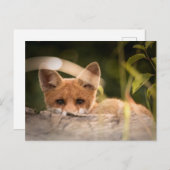 Foto van een Cute Little Fox Briefkaart (Voorkant / Achterkant)