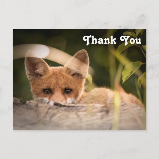 Foto van een Cute Little Fox Hartelijk dank Briefkaart (Voorkant)