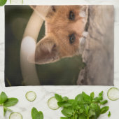 Foto van een Cute Little Fox Theedoek (Gevouwen)