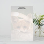 Foto van een Cute Little Oranje Fox (Staand voorkant)