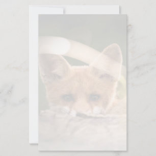 Foto van een Cute Little Oranje Fox