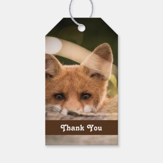 Foto van een Cute Little Oranje Fox Cadeaulabel (Voorkant)