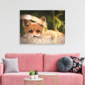 Foto van een Cute Little Oranje Fox Canvas Afdruk (Insitu (Woonkamer))