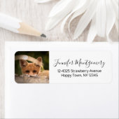 Foto van een Cute Little Oranje Fox Etiket (Insitu)