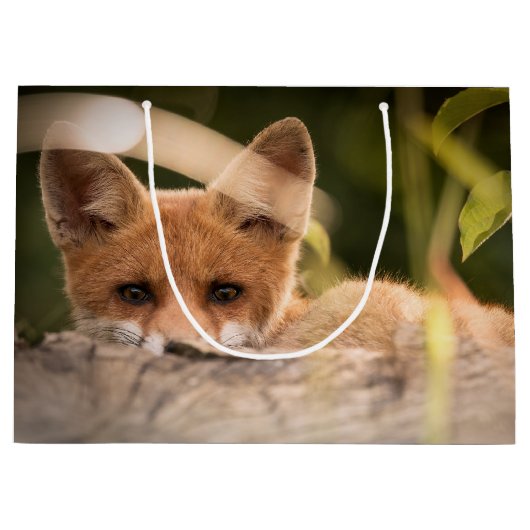 Foto van een Cute Little Oranje Fox Groot Cadeauzakje (Voorkant)