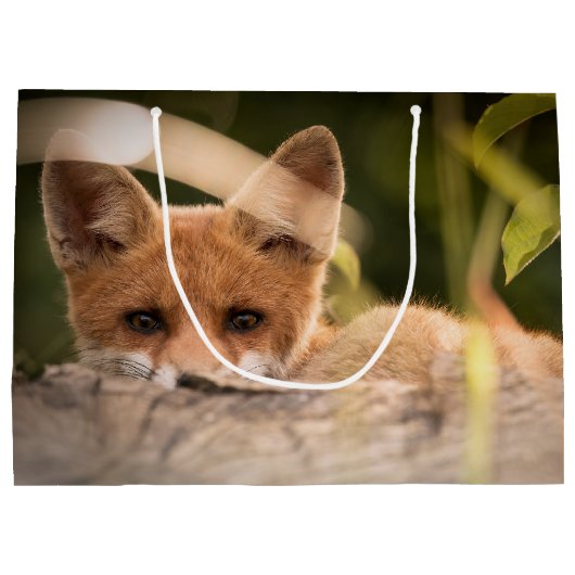 Foto van een Cute Little Oranje Fox Groot Cadeauzakje (Achterkant)