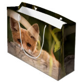 Foto van een Cute Little Oranje Fox Groot Cadeauzakje (Achterkant Gekanteld)