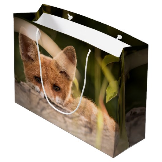 Foto van een Cute Little Oranje Fox Groot Cadeauzakje (Achterkant Gekanteld)