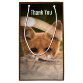 Foto van een Cute Little Oranje Fox Hartelijk dank Klein Cadeauzakje (Achterkant)