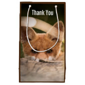 Foto van een Cute Little Oranje Fox Hartelijk dank Klein Cadeauzakje (Voorkant)