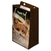 Foto van een Cute Little Oranje Fox Hartelijk dank Klein Cadeauzakje (Voorkant Gekanteld)