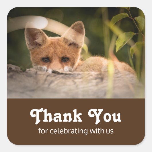 Foto van een Cute Little Oranje Fox Hartelijk dank Vierkante Sticker (Voorkant)
