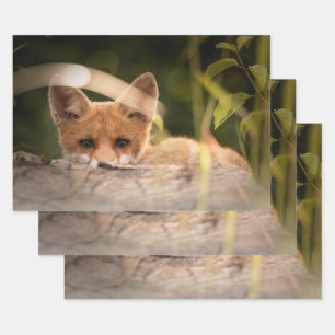 Foto van een Cute Little Oranje Fox Inpakpapier Vel