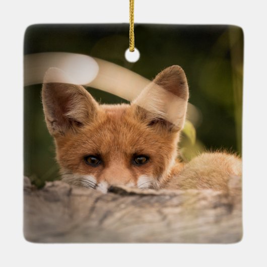 Foto van een Cute Little Oranje Fox Keramisch Ornament (Achterkant)