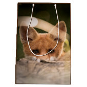 Foto van een Cute Little Oranje Fox Medium Cadeauzakje (Achterkant)