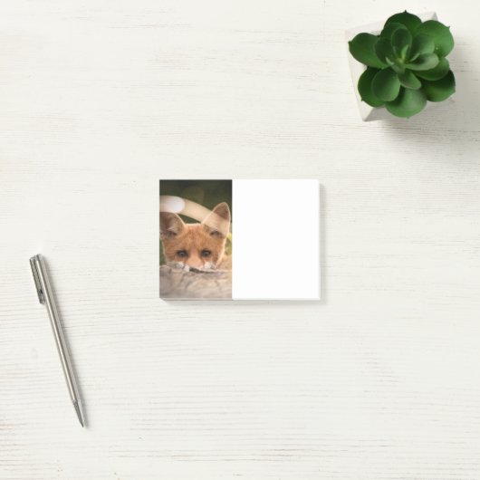 Foto van een Cute Little Oranje Fox Post-it® Notes (Kantoor)