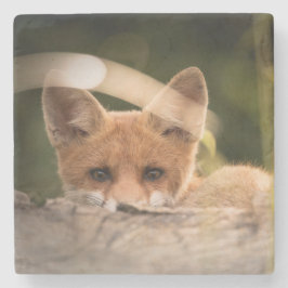 Foto van een Cute Little Oranje Fox Stenen Onderzetter