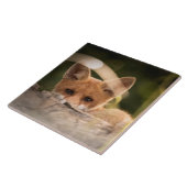 Foto van een Cute Little Oranje Fox Tegeltje (Zijkant)