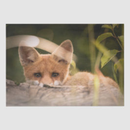 Foto van een Cute Little Oranje Fox Tissuepapier