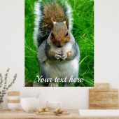 Foto van een Cute Squirrel in een tuin Poster (Keuken)