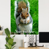 Foto van een Cute Squirrel in een tuin Poster (Thuiskantoor)