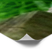 Foto van een Cute Squirrel in een tuin Poster (Hoek)