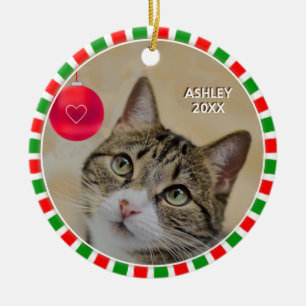 Foto van een cyperse kat en groene rode lijst keramisch ornament
