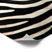 Foto van een echte Zebra-ingang Poster (Hoek)