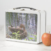 Foto van een eend (In situ)