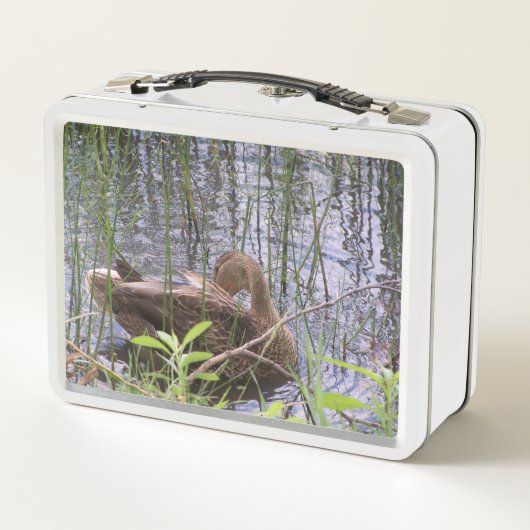 Foto van een eend (Achterkant)