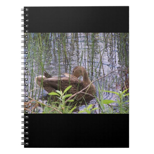 Foto van een eend notitieboek (Voorkant)