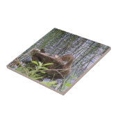 Foto van een eend tegeltje (Zijkant)