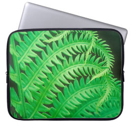 Foto van een fernschijfje dicht laptop sleeve