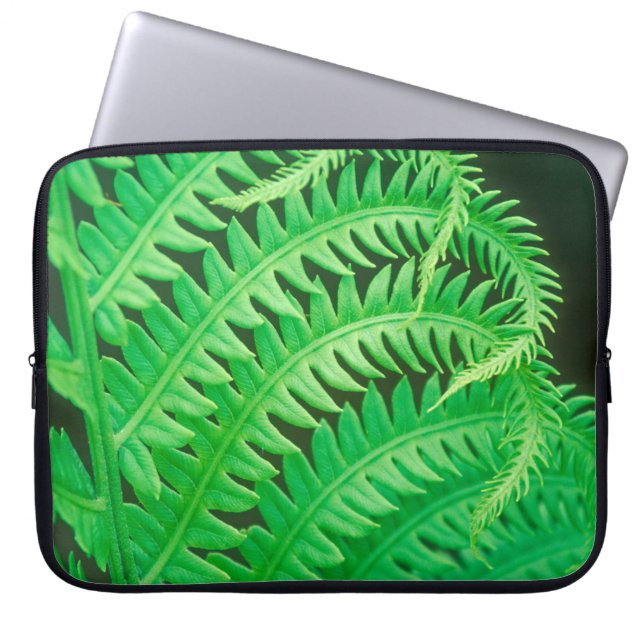 Foto van een fernschijfje dicht laptop sleeve (Voorkant)