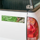 Foto van een flauw en een citaat van Thoreau - Bumpersticker (Op Truck)