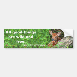 Foto van een flauw en een citaat van Thoreau - Bumpersticker