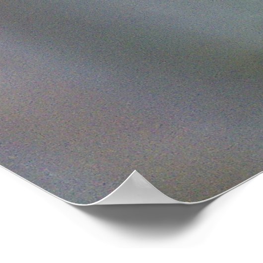 Foto van een Friendly Carolina Wren. Poster (Hoek)