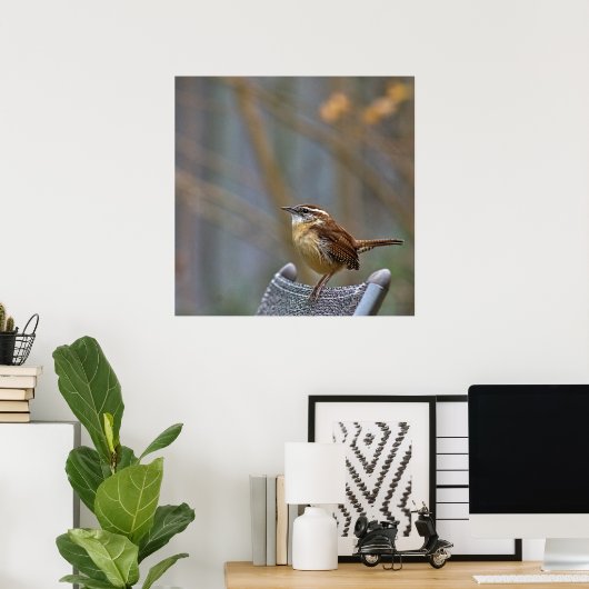 Foto van een Friendly Carolina Wren. Poster (Thuiskantoor)