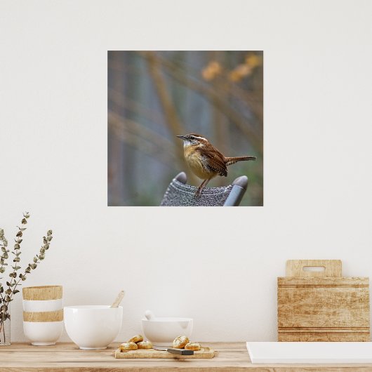 Foto van een Friendly Carolina Wren. Poster (Keuken)