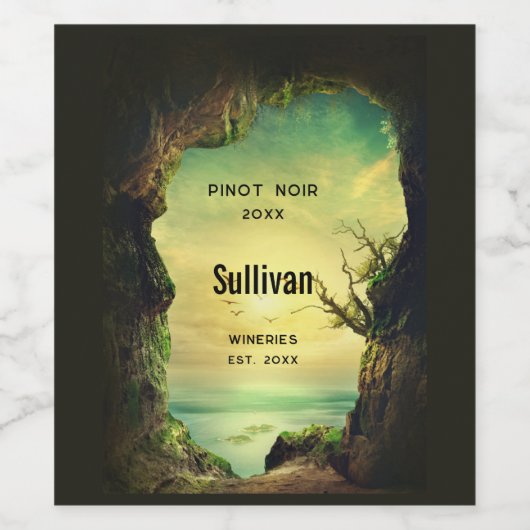 Foto van een grot over de oceaanwijn wijn etiket (Enkel label)